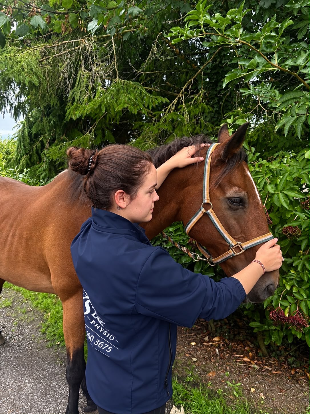 Katie Salmon working hands-on with a horse during an equine physiotherapy session.